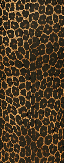 Safari Whisper Maxi - Animal-Print Sweet Heart Maxi Dress